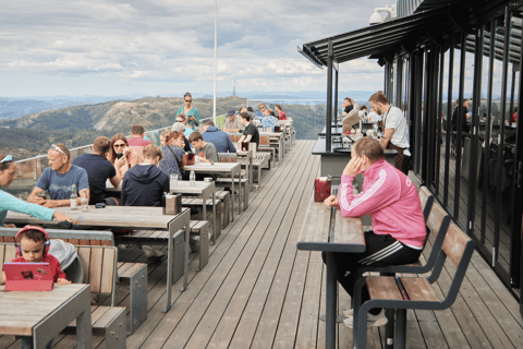 Bergen: Ticket für Hin- und Rückfahrt mit der Ulriken-Seilbahn