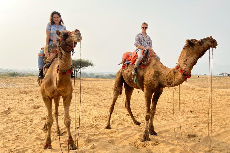 1-dniowa wycieczka do Pushkar z &quot;różowego miasta&quot; Jaipur1-dniowa wycieczka do Puszkaru z Jaipuru