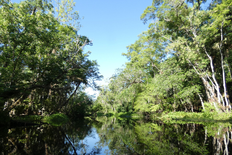 Blackwater Creek: Exclusive Nature Escape Kayak Adventure Blackwater Creek: Exclusive Wilderness Kayak Adventure