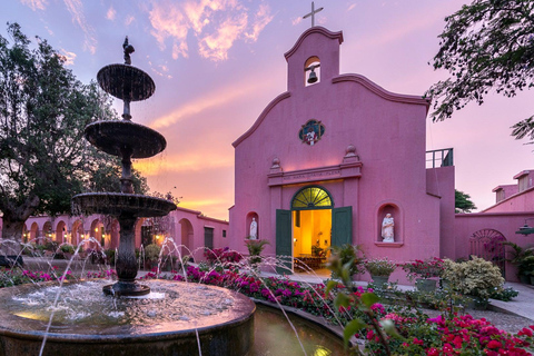 From Ica: Wine and Pisco Cellar Sightseeing Tour with Tastings and Transfers Premium Pisco Route (Afternoon)