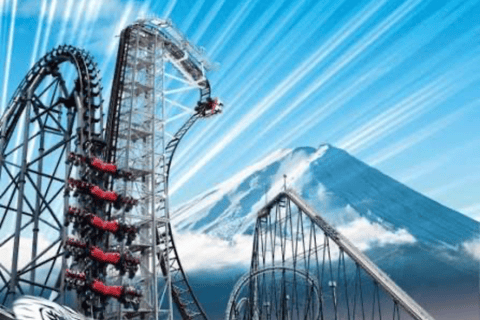 From Tokyo : Mount Fuji Private Tour With English Guide