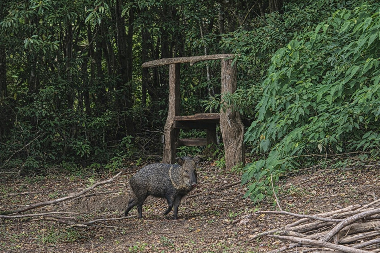 Monteverde: Roots of the Future Walk at Finca Lantana
