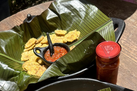 麦德林：埃尔利亚诺农庄之旅含品鉴与午餐麦德林：平原农业之旅含品鉴与午餐