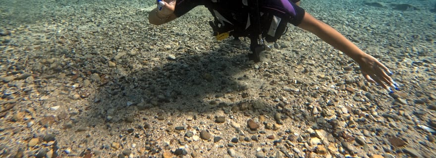 Découverte de la plongée sous-marine