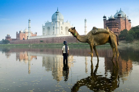 Taj Mahal & Fatehpur Sikri Tour with Car, Guide and Tickets Car and Guide Without tickets.