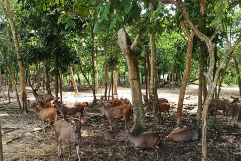 Phnom Penh: Buddha Kiri y Zoológico de Phnom Tamao Excursión de un día en privado