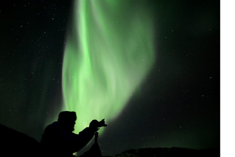 Tromso: Noorderlicht Grote Bus Achtervolging met Gratis Foto&#039;s