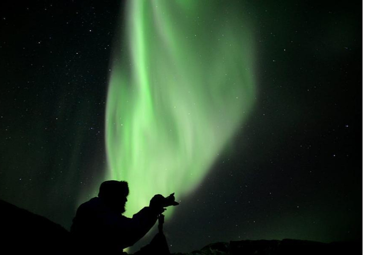 Tromsö: Nordlicht-Verfolgungsjagd im großen Bus mit kostenlosen Fotos