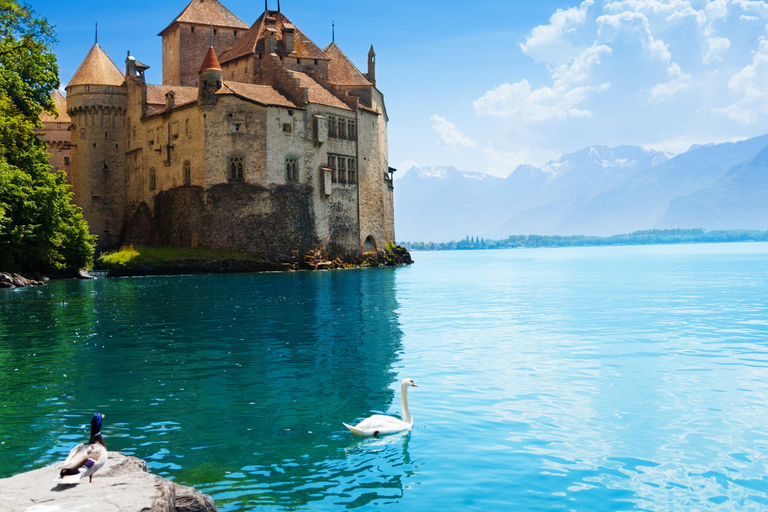 Privétour Zwitserse Rivièra: Chillon, Chaplin, Olympisch MuseumZwitserse Rivièra Privé-excursie vanuit Genève