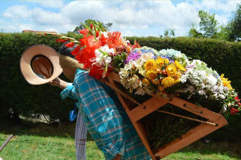 Medellín Flower Festival: Santa Elena Silleteros Experience Santa Elena Silleteros Tour - Afternoon Option
