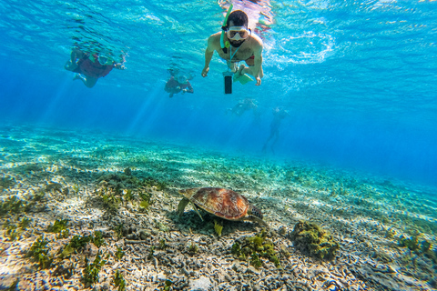 Gili Islands: Snorkeling Trip with Guide & Underwater Videos