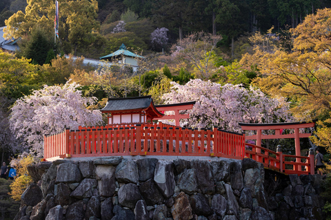 Osaka: Katsuoji Temple Guided Tour with Bus Transfer Private Tour in English with Meeting Point
