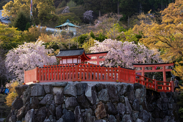 Osaka: Katsuoji Temple Guided Tour with Bus Transfer Private Tour in English with Meeting Point