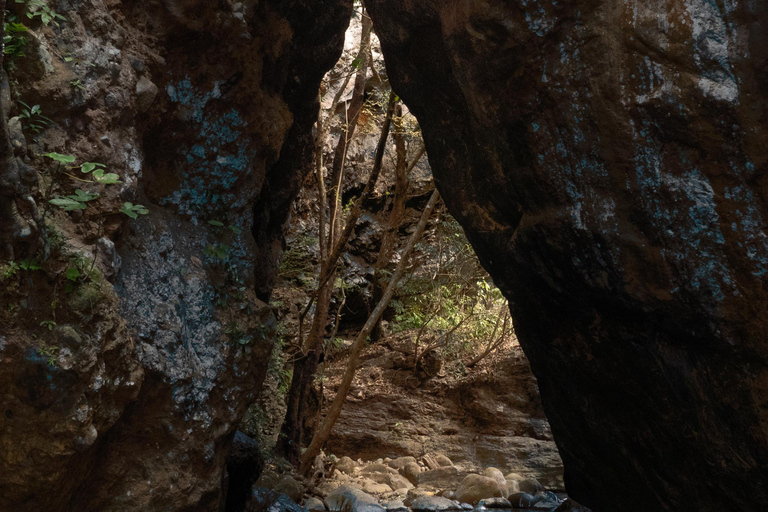 Liberia: La Leona Waterfall River Canyon Hike