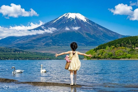 Tokyo: Mount Fuji & Pagoda & Oshino Hakkai & Lake Kawaguchi Route B : Mount Fuji & Hakone Private Customizable Day Trip