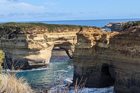 Great Ocean Road Premium - Excursão reversa de ônibus de luxo 13 PAX MAX