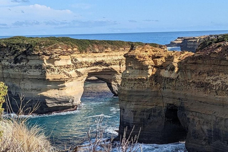 Great Ocean Road Premium - Excursão reversa de ônibus de luxo 13 PAX MAX