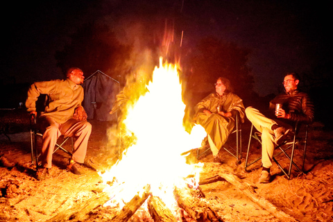 Chobe - Savuti Trail: Elephant & Big Cats (4 days 3 Nights)