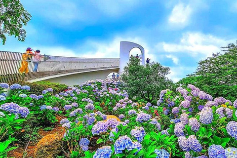 Jeju: South & West Coast Highlights Small Group Day Tour