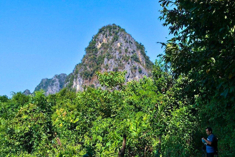 Luang Prabang: Biking, Trekking and Waterfall Private Tour