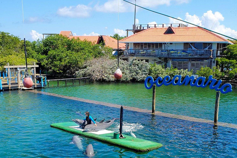 VIP 5-Island Speedboat Tour + Open Bar and Stops at Private Islands