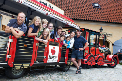 Göteborg: Wycieczka krajoznawcza po Starym Mieście