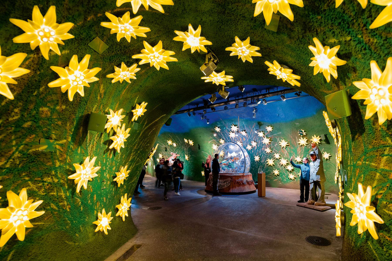 Geneva: Private Tour to Interlaken, Grindelwald & Jungfrau Geneva: Private tour to Interlaken, Grinderwald & Jungfrau