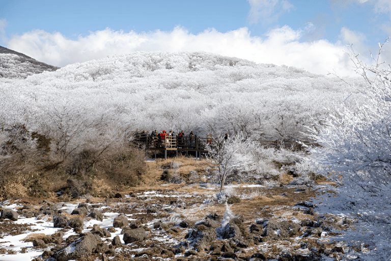 Jeju eiland: Zuidelijke &amp; westelijke dagvullende tour