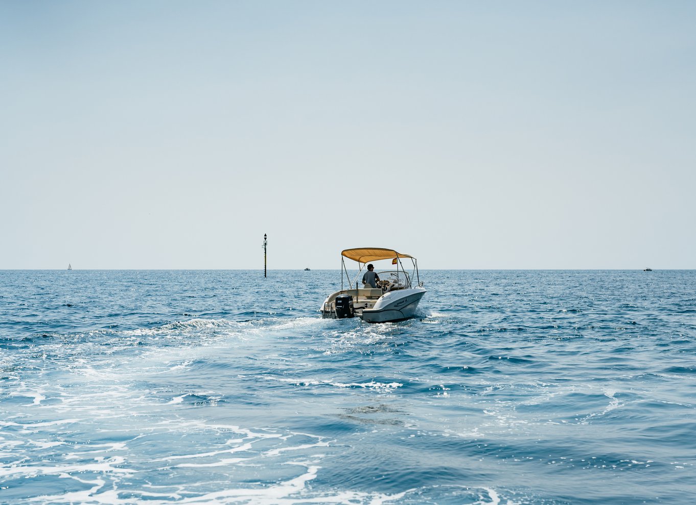 Malaga: Bådudlejning uden tilladelse til delfinsafari