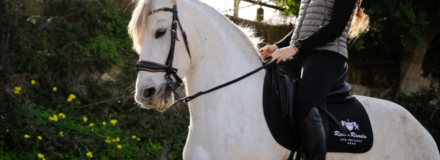 Majorque : Leçon d'équitation classique espagnole