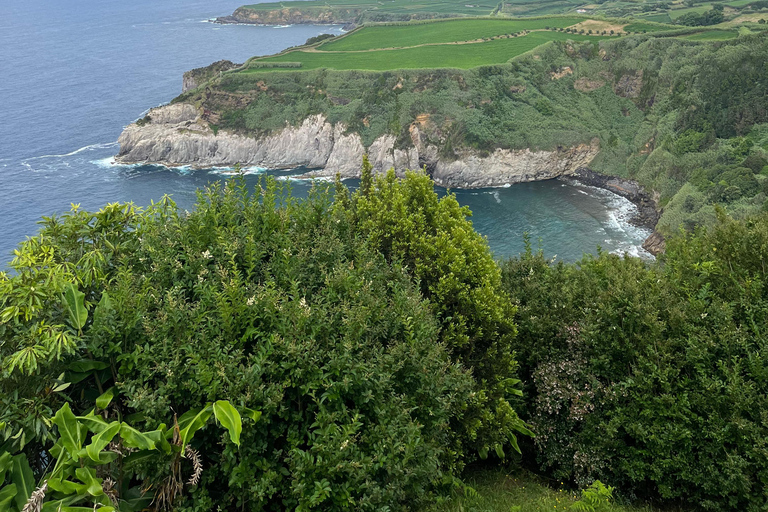 São Miguel: Sete Cidades, Lagoa do Fogo & Furnas - Full Day Tour