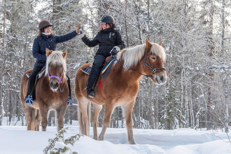 Levi: 2-Day Lapland Forest Cabin Stay with Safaris