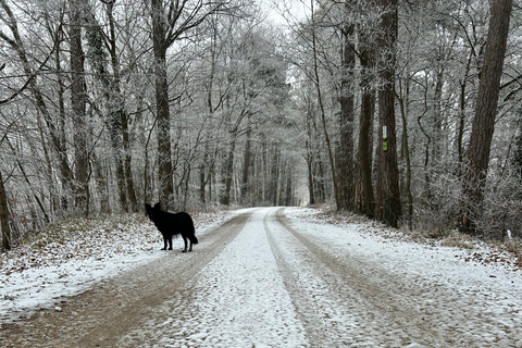 Stuttgart: Hike & Science Info on the Solar System, Galaxies & Universe