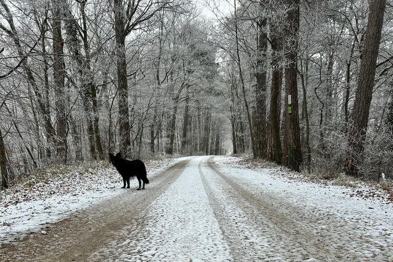 Stuttgart: Hike & Science Info on the Solar System, Galaxies & Universe