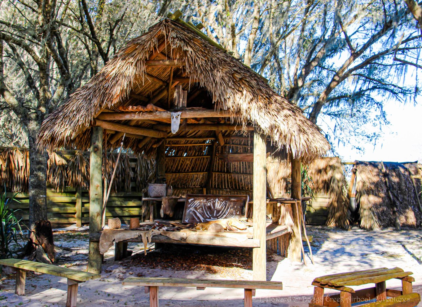 Kissimmee: Boggy Creek Airboat Ride med valgfrit måltid