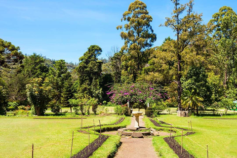 Au départ de Bentota : Circuit de 5 jours avec Kandy et Nuwara Eliya