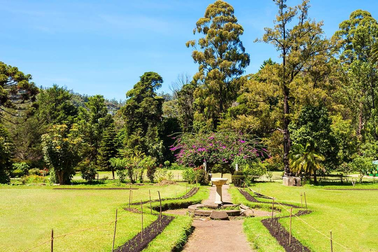 Desde Bentota: Excursión de 5 días con Kandy y Nuwara Eliya