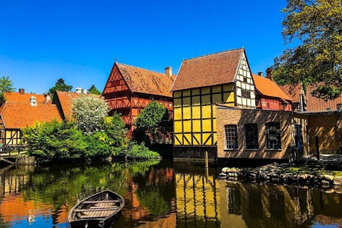 Excursão de meio dia a Aarhus como um local