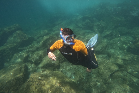 Tenerife: Safári de mergulho com snorkel em Puerto Colón em lancha rápidaTenerife: Puerto Colon Snorkel Safari em lancha