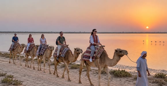 Monastir: Flamingo Lake Camel Tour, Tasting & Carriage