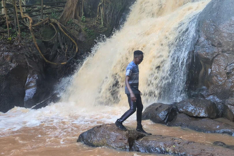 Karura Forest walking tour with nature and waterfalls.