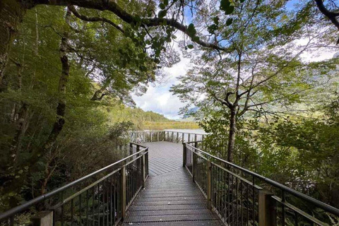 Queenstown: Milford Sound Cruise & Scenic Day Tour