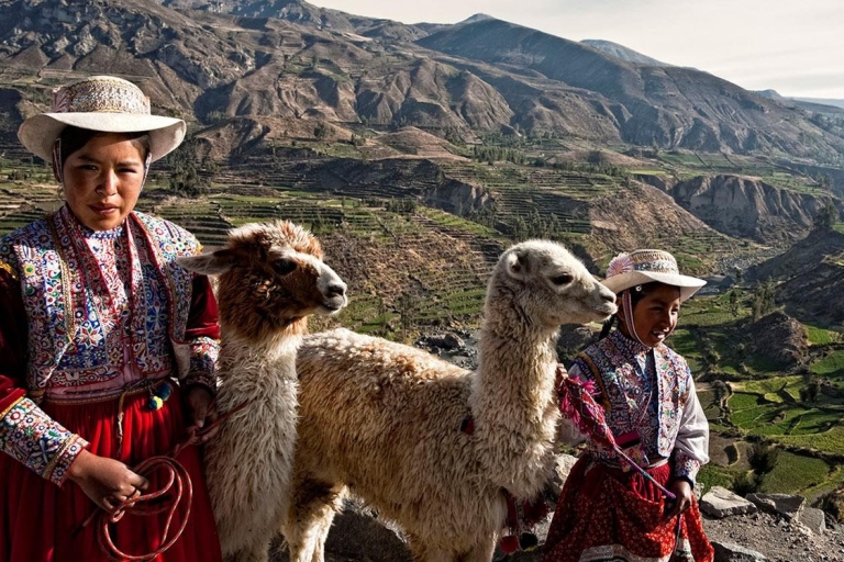 Arequipa:Full-day tour to Colca Canyon with transfer to Puno