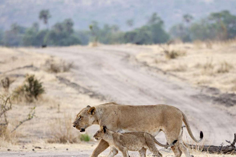 Arusha: Day Trip to Arusha National Park