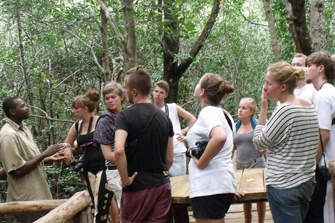 Zanzibar: Jozani Forest,saalam cave and Mtende beach