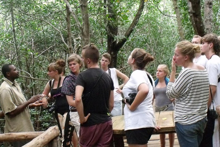 Zanzibar: Jozani Forest,saalam cave and Mtende beach
