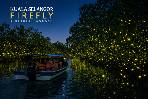 Glowing Kuala Selangor Firefly Tour
