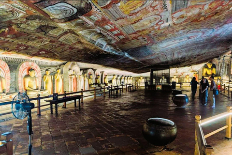 From Dambulla: Cave Temple & Kaudulla National Park Safari