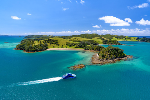 Auckland: Excursión de un día a la Bahía de las Islas con Crucero con Delfines