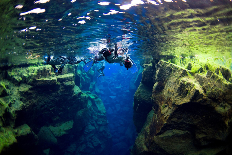Reykjavik Combo: Horse Riding & Snorkeling in Silfra Fissure